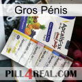 Gros Pénis 11